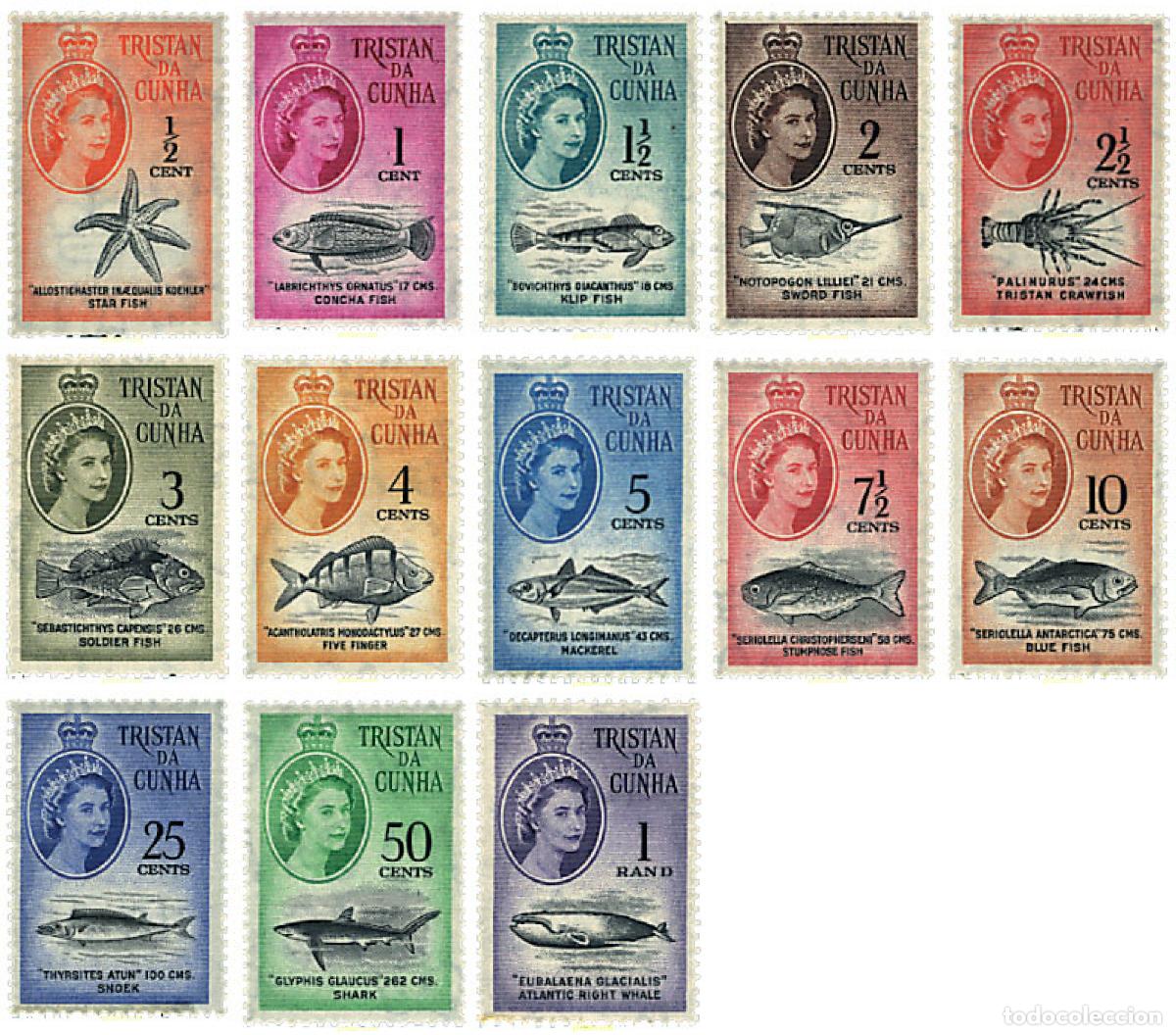 Sellos: 28442 MNH TRISTAN DA CUNHA 1961 FAUNA MARINA