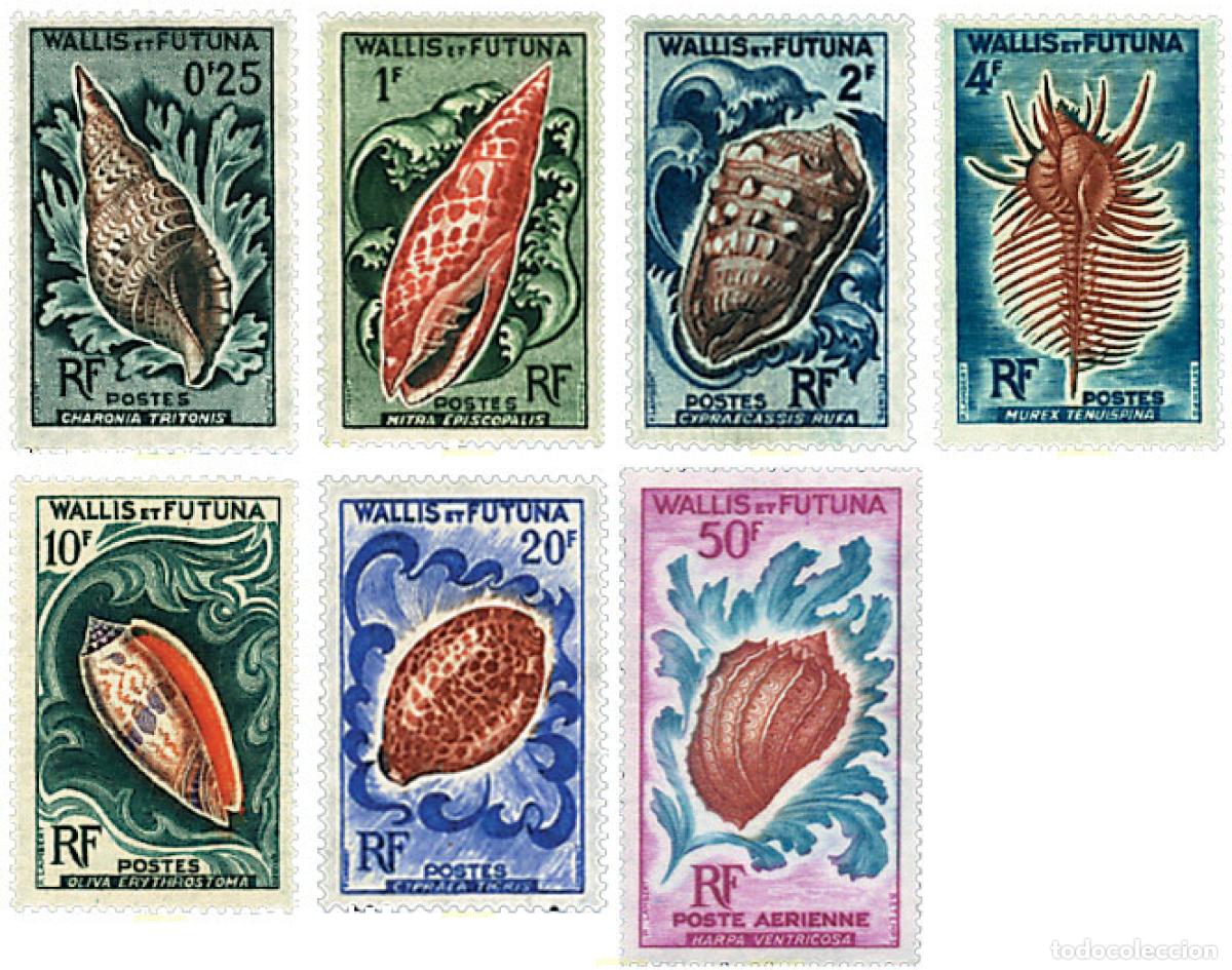Sellos: 619721 MNH WALLIS Y FUTUNA 1962 CONCHAS