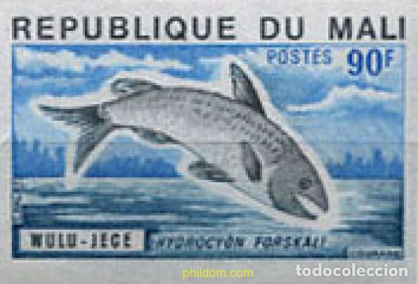 Sellos: 221382 MNH MALI 1975 PECES