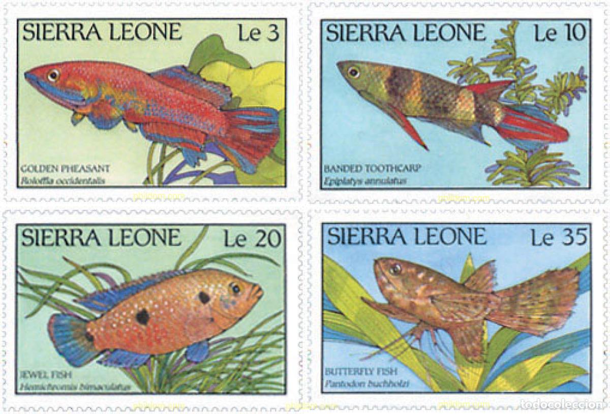 Sellos: 28482 MNH SIERRA LEONA 1988 PECES