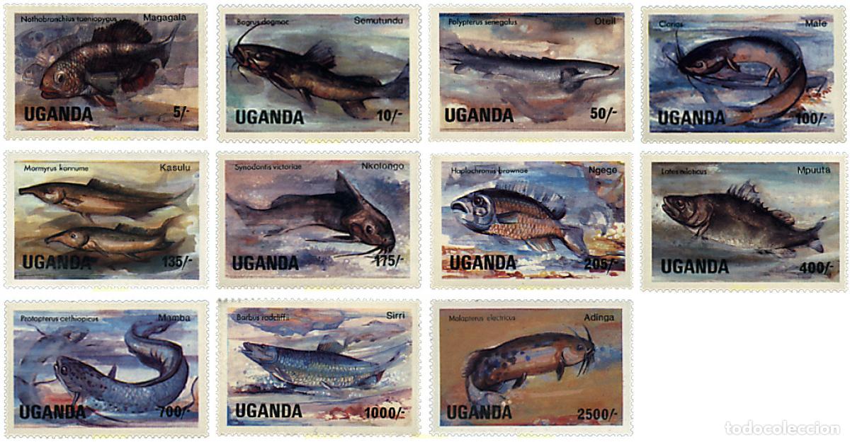 Sellos: 40558 MNH UGANDA 1985 PECES