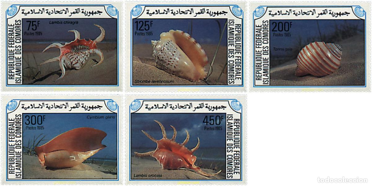 Sellos: 73109 MNH COMORES 1985 CONCHAS
