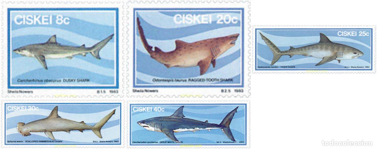 Sellos: 29995 MNH CISKEI 1983 FAUNA MARINA. TIBURONES