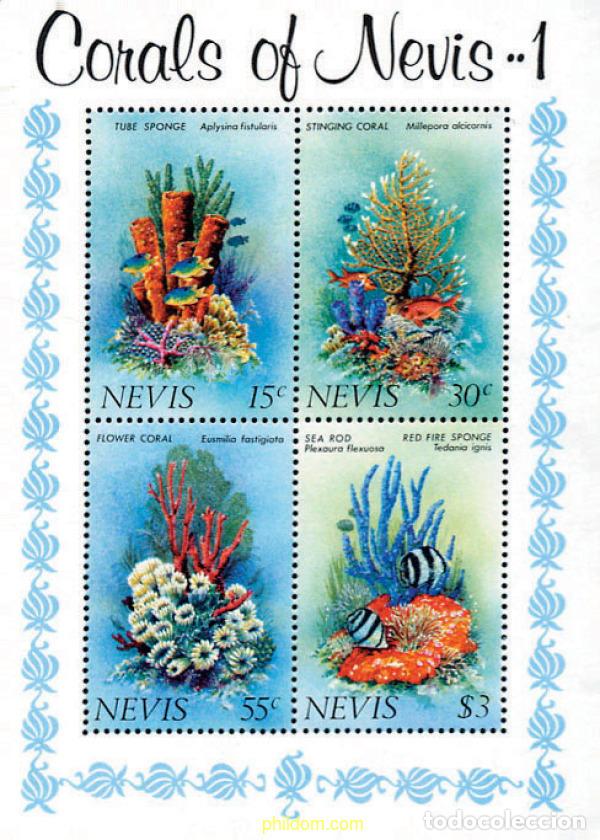 Sellos: 53178 MNH NEVIS 1983 CORALES