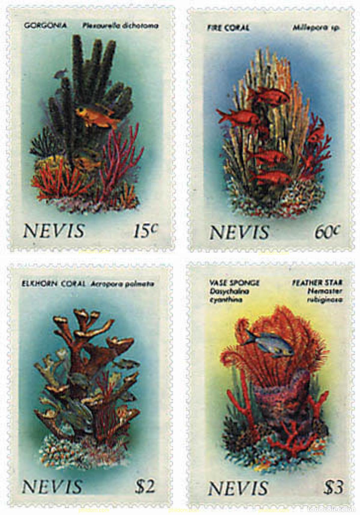 Sellos: 48763 MNH NEVIS 1986 CORALES