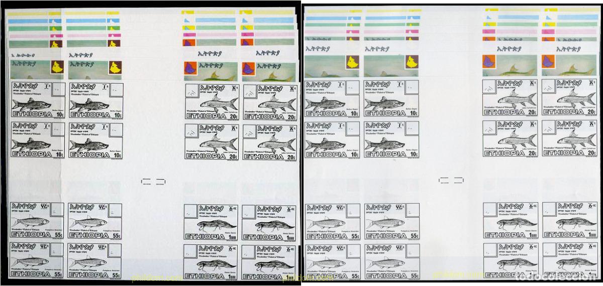 Sellos: 214420 MNH ETIOPIA 1985 PECES DE AGUA DULCE DE ETIOPIA