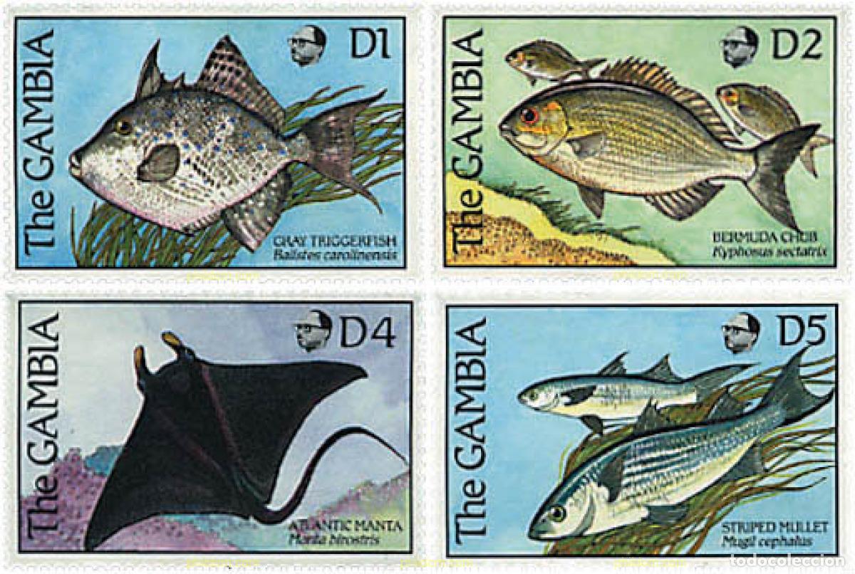 Sellos: 316816 MNH GAMBIA 1989 PECES