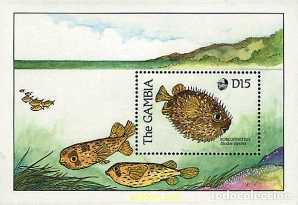 Sellos: 316817 MNH GAMBIA 1989 PECES