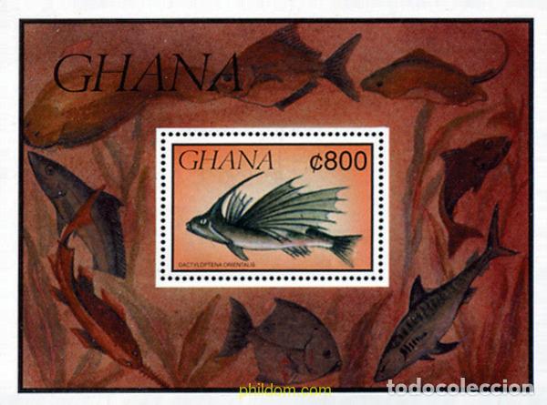 Sellos: 317415 MNH GHANA 1991 FAUNA MARINA
