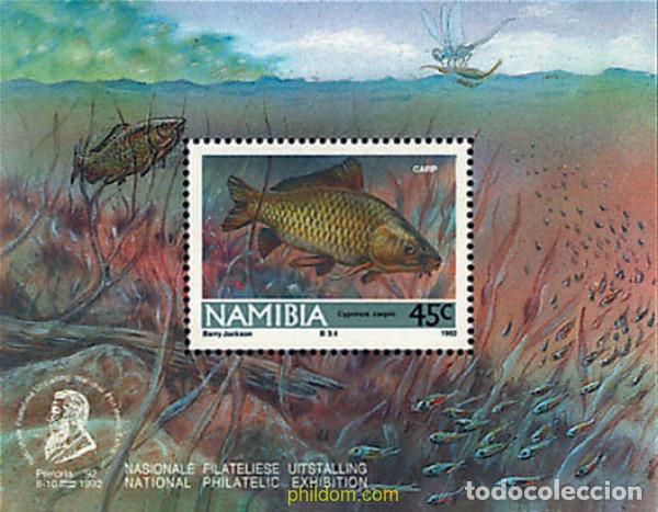 Sellos: 30758 MNH NAMIBIA 1992 PECES