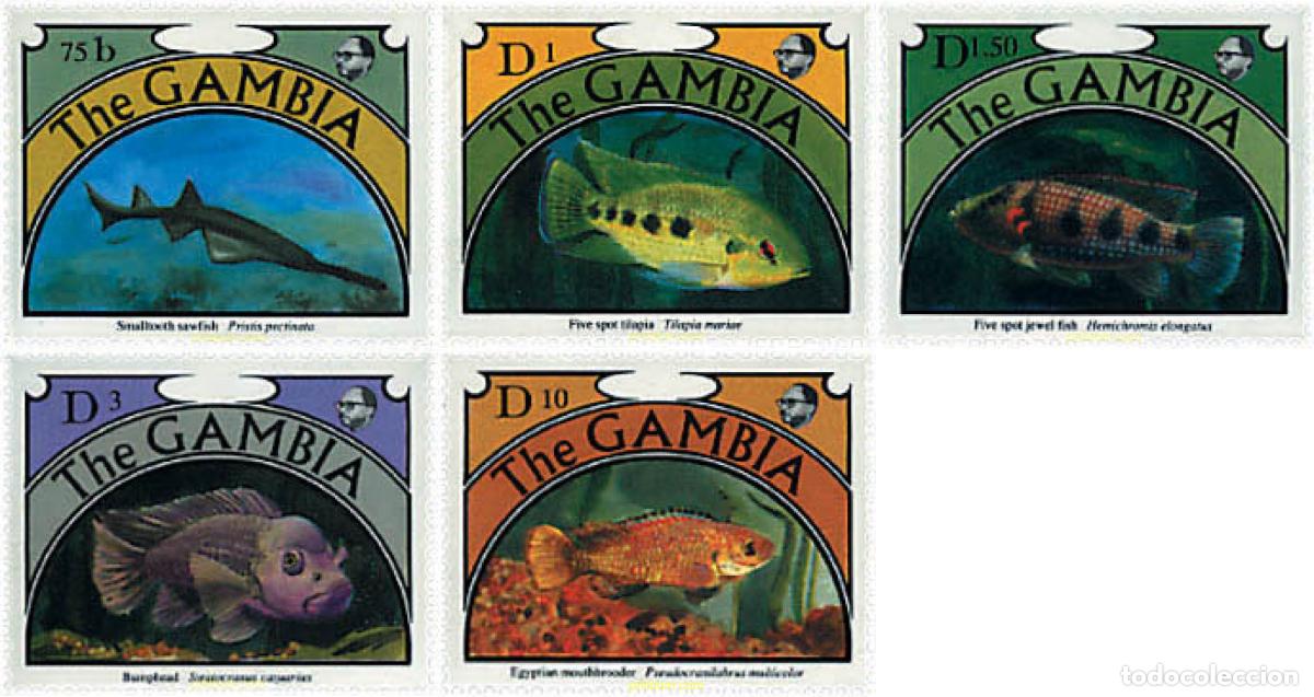 Sellos: 316856 MNH GAMBIA 1991 PECES