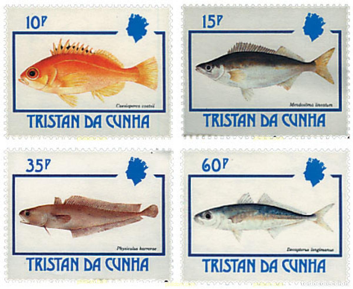 Sellos: 42742 MNH TRISTAN DA CUNHA 1992 PECES