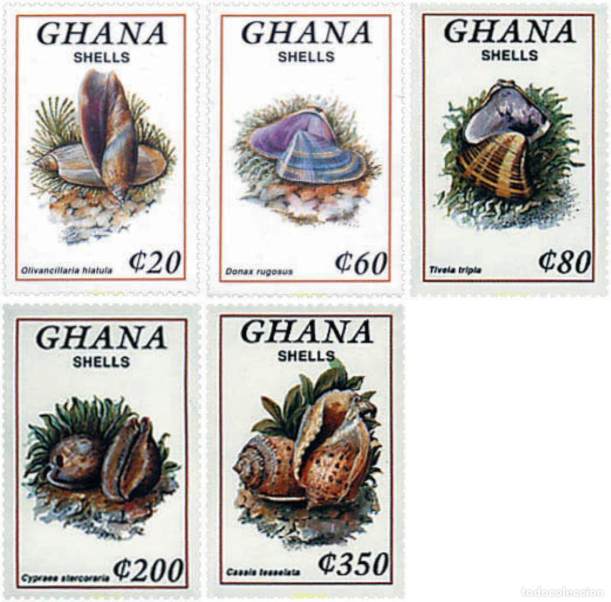 Sellos: 317433 MNH GHANA 1992 CONCHAS