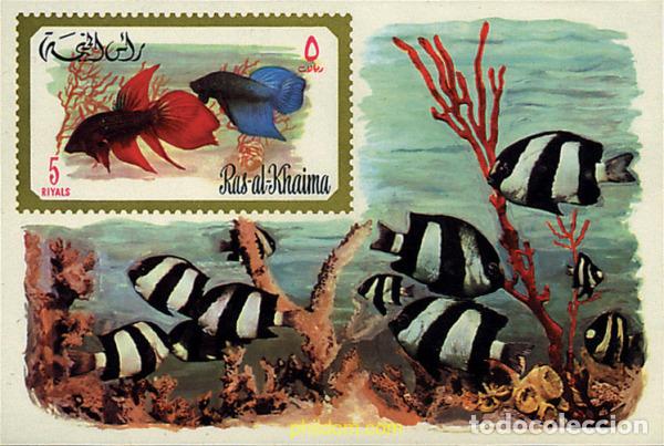 Sellos: 73543 MNH RAS AL KHAIMA 1972 PECES