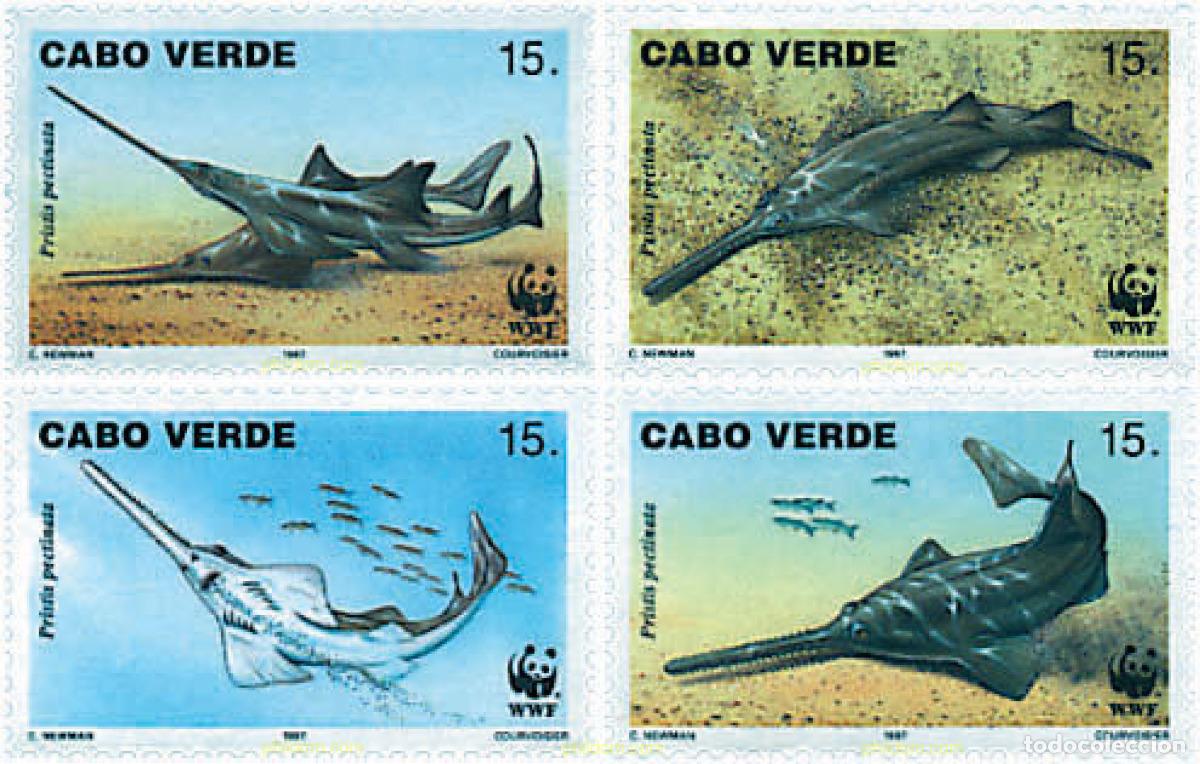 Sellos: 74187 MNH CABO VERDE 1997 PEZ SIERRA