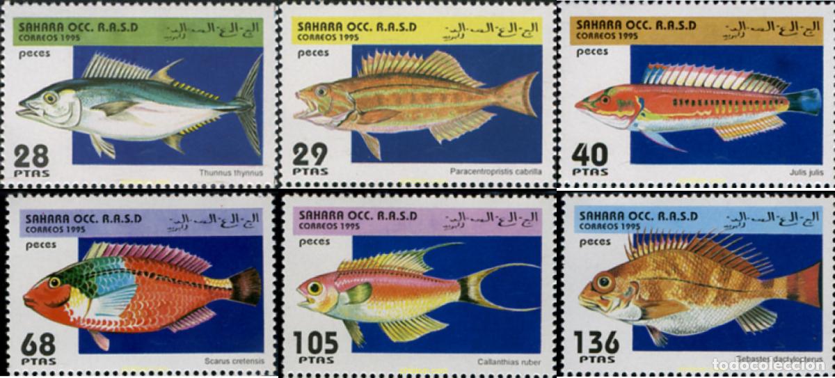 Sellos: 204671 MNH REPUBLICA ARABE SAHAURI DEMOCRATICA 1995 PECES