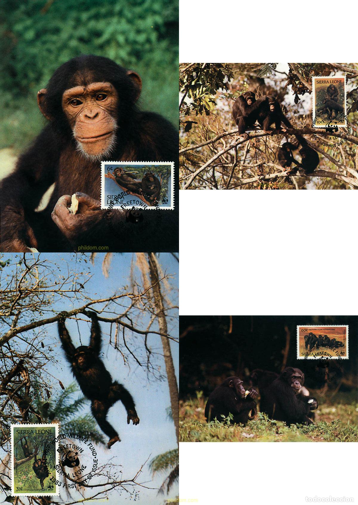 Sellos: 7301 MNH SIERRA LEONA 1983 CHIMPANCE