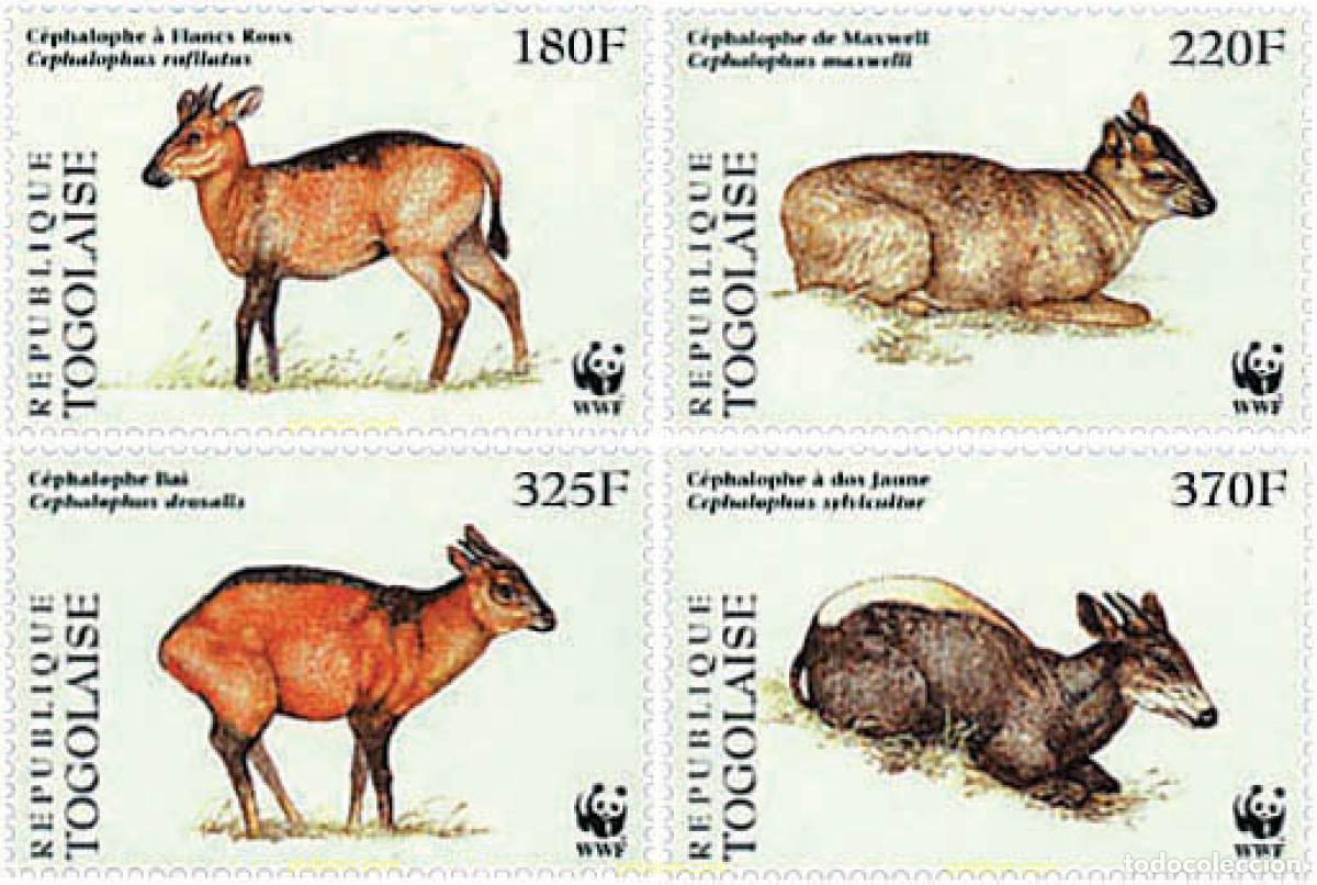 Sellos: 74989 MNH TOGO 1996 DUIKERS