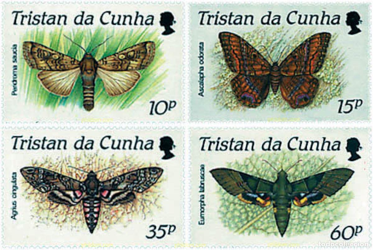 Sellos: 77035 MNH TRISTAN DA CUNHA 1990 MARIPOSAS NOCTURNAS