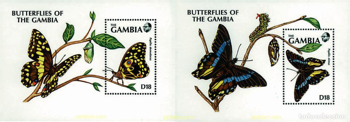 Sellos: 211160 MNH GAMBIA 1991 MARIPOSAS DE GAMBIA