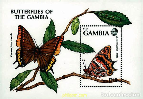 Sellos: 316860 MNH GAMBIA 1991 MARIPOSAS DE GAMBIA