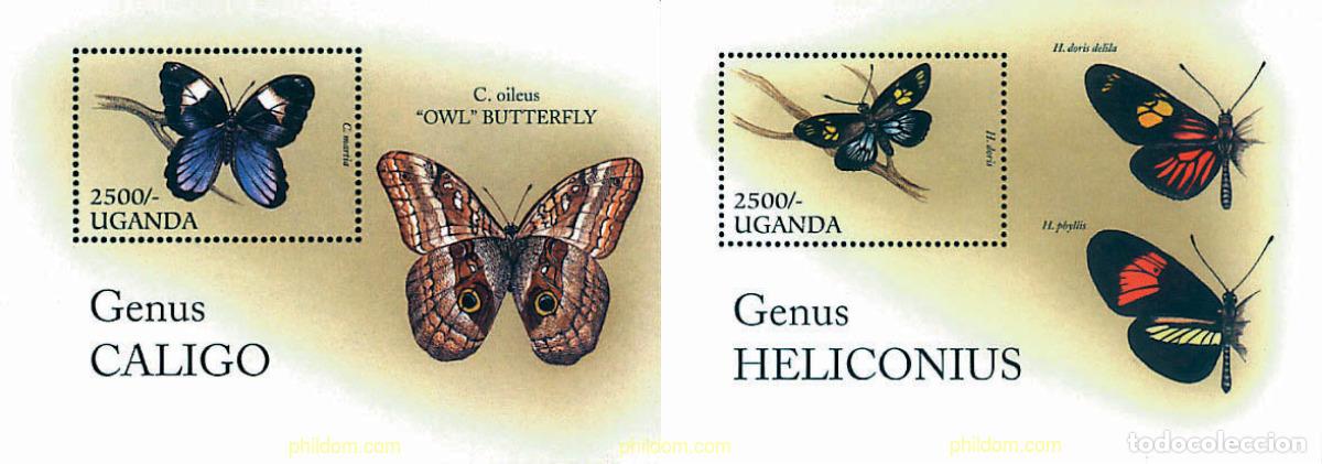 Sellos: 76825 MNH UGANDA 1996 MARIPOSAS
