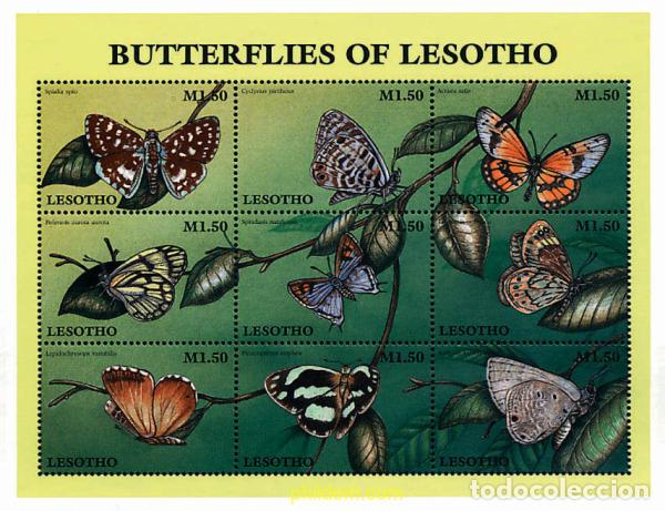 Sellos: 314747 MNH LESOTHO 1997 MARIPOSAS DE LESOTHO