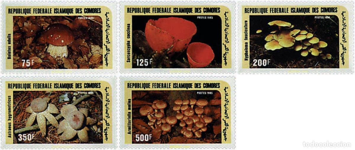 Sellos: 37509 MNH COMORES 1985 SETAS
