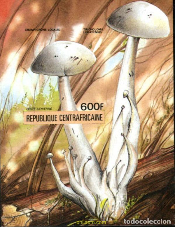 Sellos: 21371 MNH CENTROAFRICANA 1984 SETAS