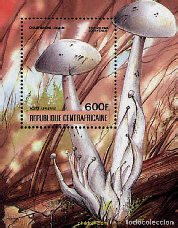Sellos: 37271 MNH CENTROAFRICANA 1984 SETAS
