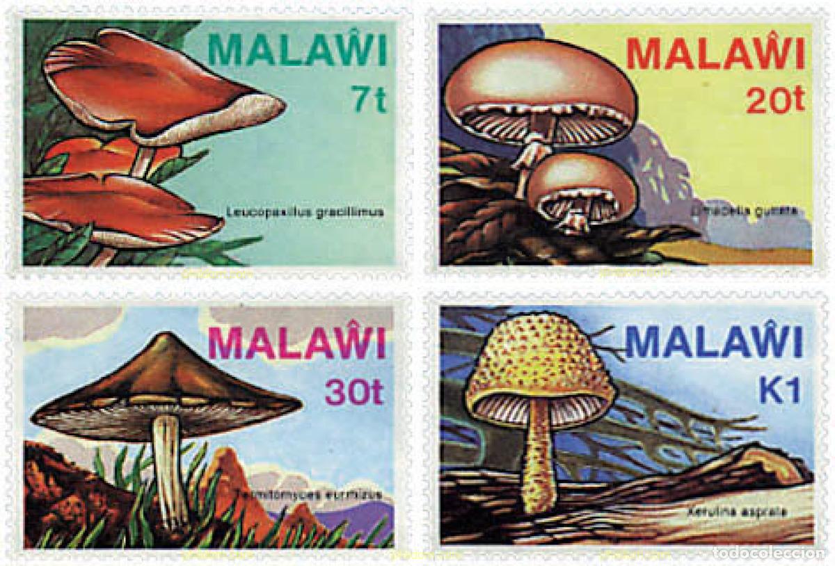 Sellos: 34514 MNH MALAWI 1985 SETAS