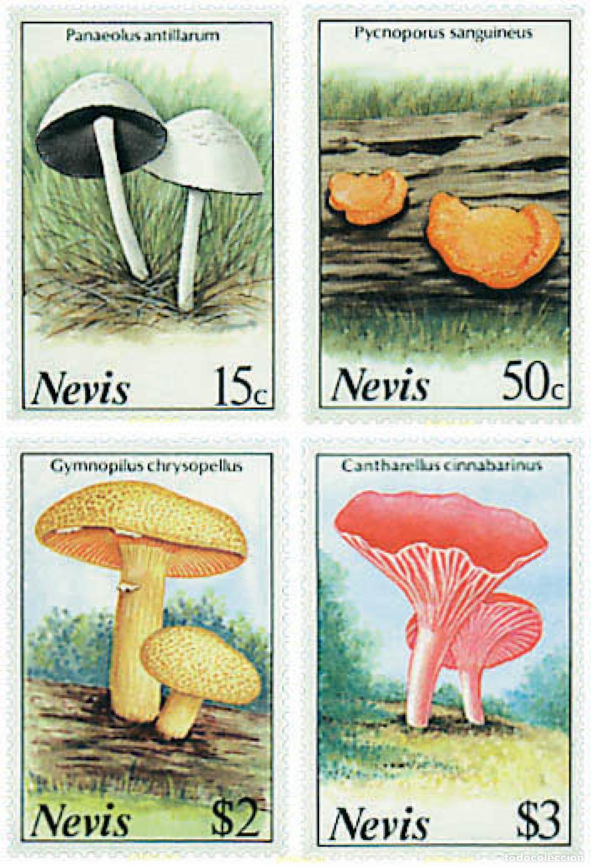 Sellos: 35074 MNH NEVIS 1987 SETAS