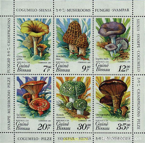 Sellos: 35048 MNH GUINEA BISSAU 1985 SETAS
