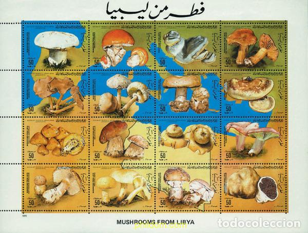 Sellos: 314817 MNH LIBIA 1985 SETAS