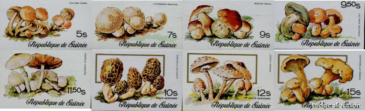 Sellos: 21355 MNH GUINEA 1977 SETAS