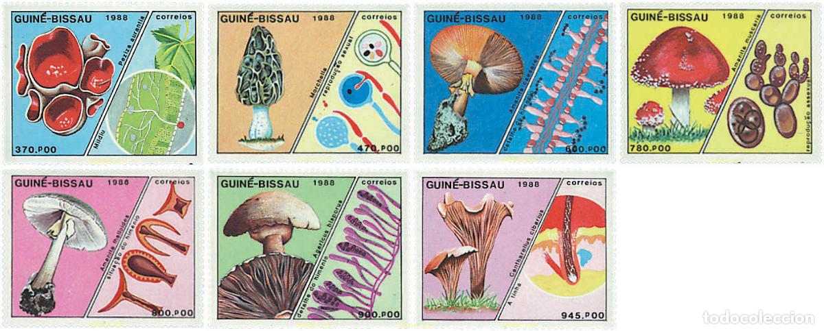 Sellos: 35049 MNH GUINEA BISSAU 1988 SETAS