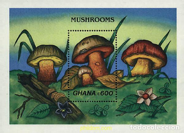 Sellos: 317335 MNH GHANA 1989 SETAS