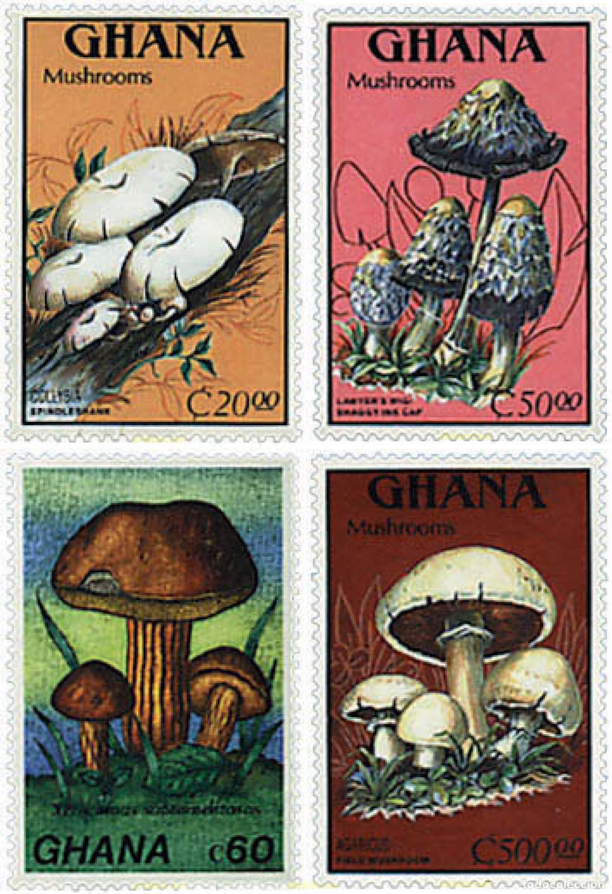 Sellos: 588093 MNH GHANA 1989 SETAS