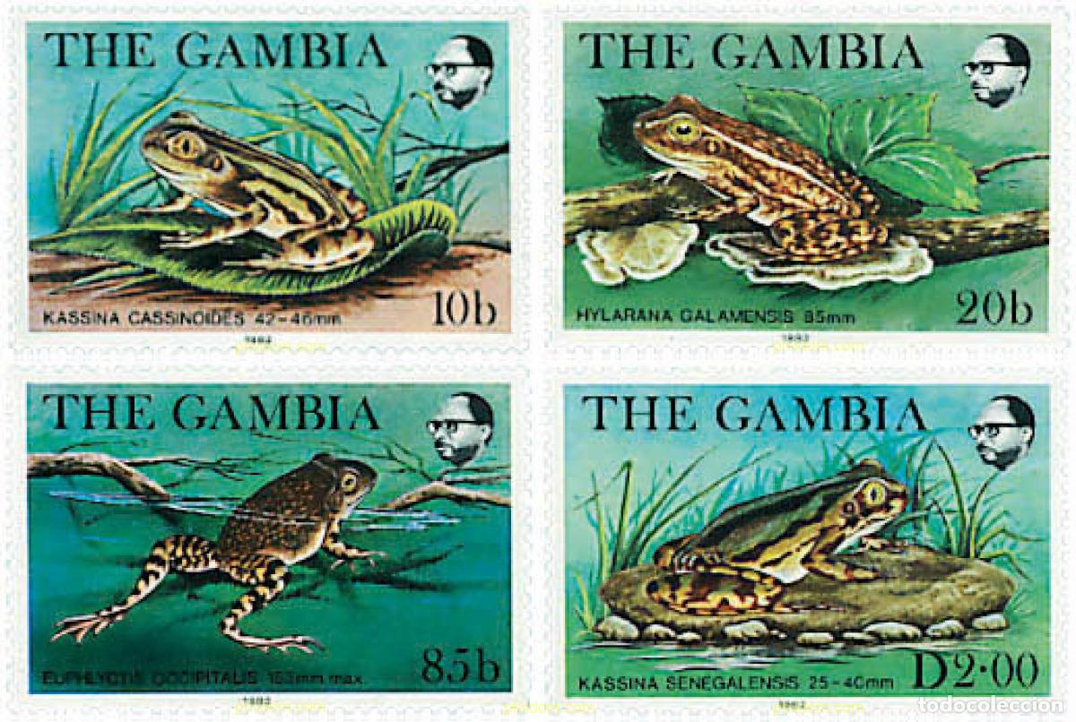 Sellos: 37429 MNH GAMBIA 1982 RANAS