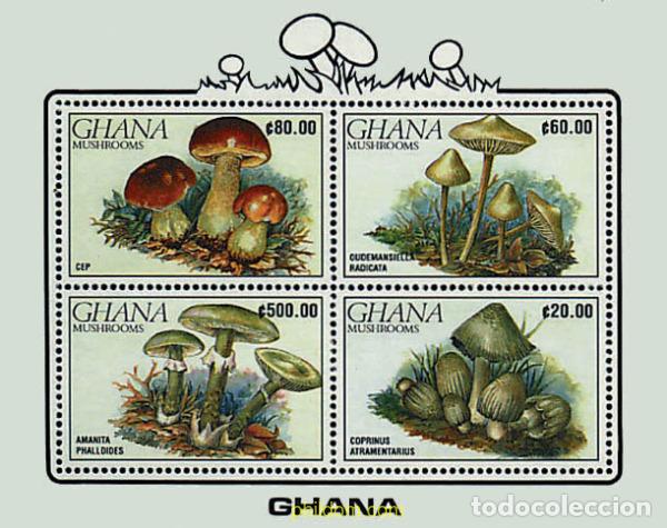 Sellos: 253907 MNH GHANA 1990 SETAS