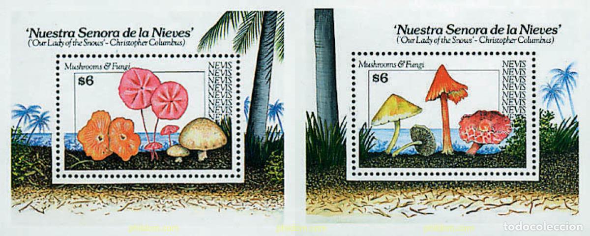 Briefmarken: 35860 MNH NEVIS 1991 SETAS