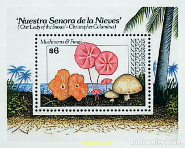 Sellos: 347380 MNH NEVIS 1991 SETAS - Foto 1