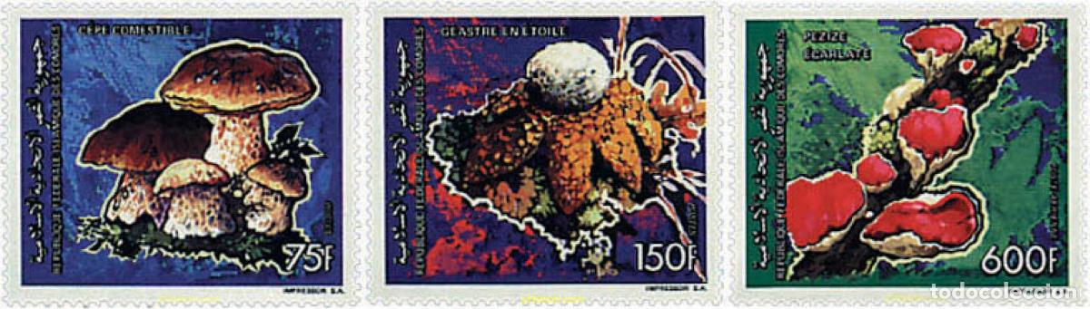 Sellos: 37100 MNH COMORES 1992 SETAS