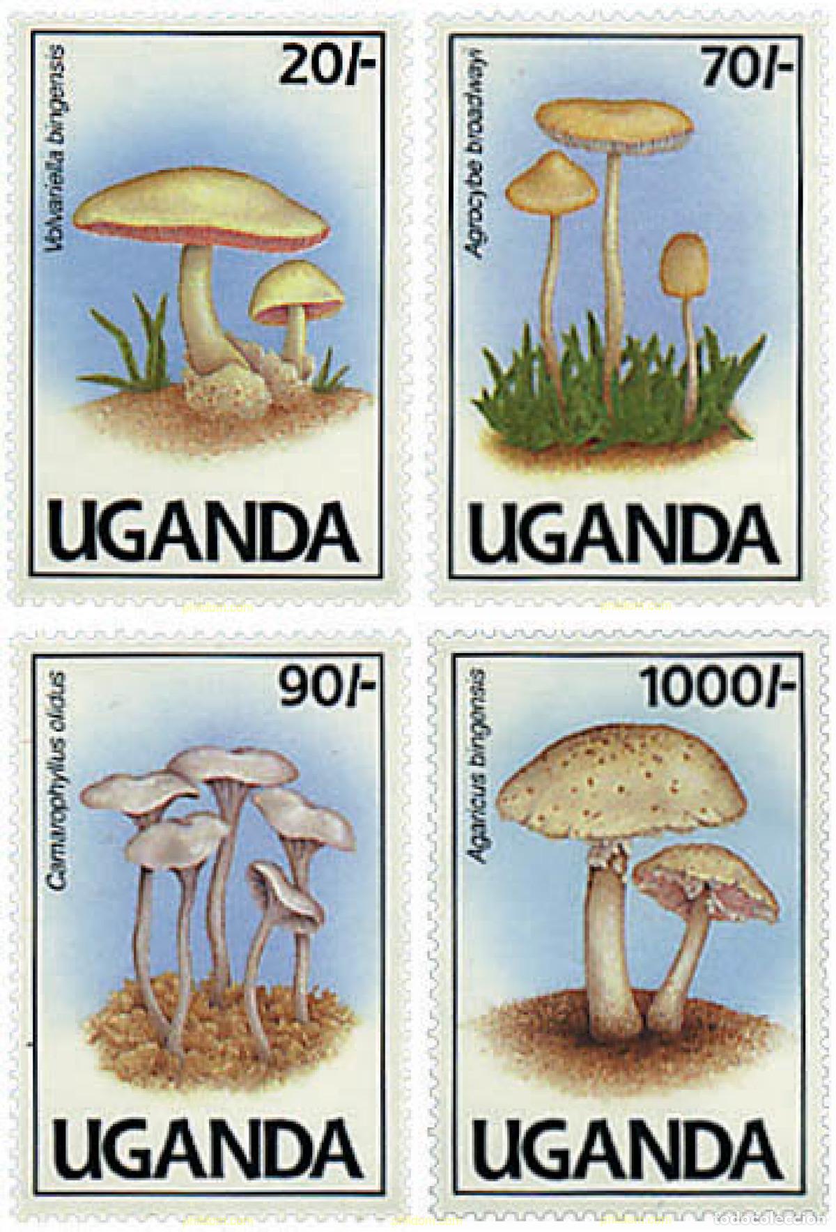 Sellos: 296803 MNH UGANDA 1991 SETAS