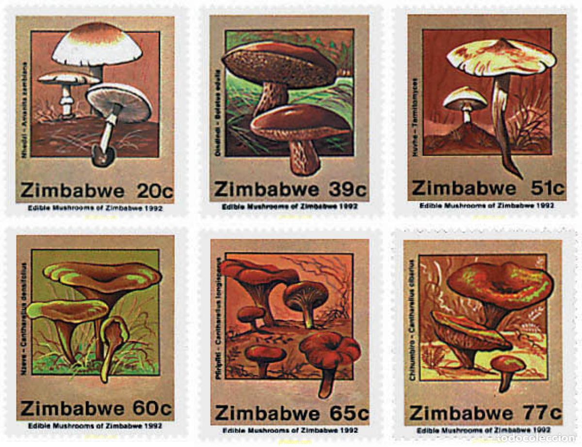 Sellos: 35107 MNH ZIMBABUE 1992 SETAS