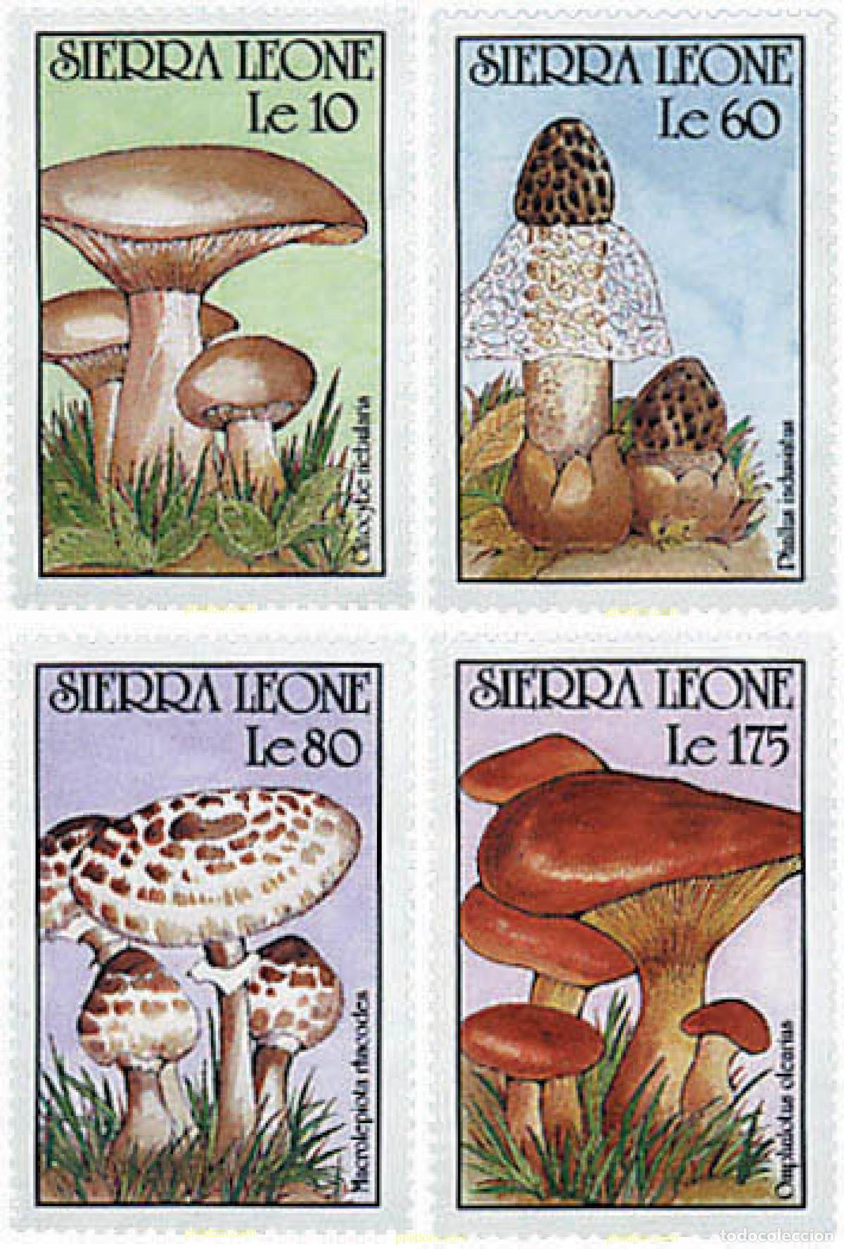 Sellos: 241748 MNH SIERRA LEONA 1990 SETAS