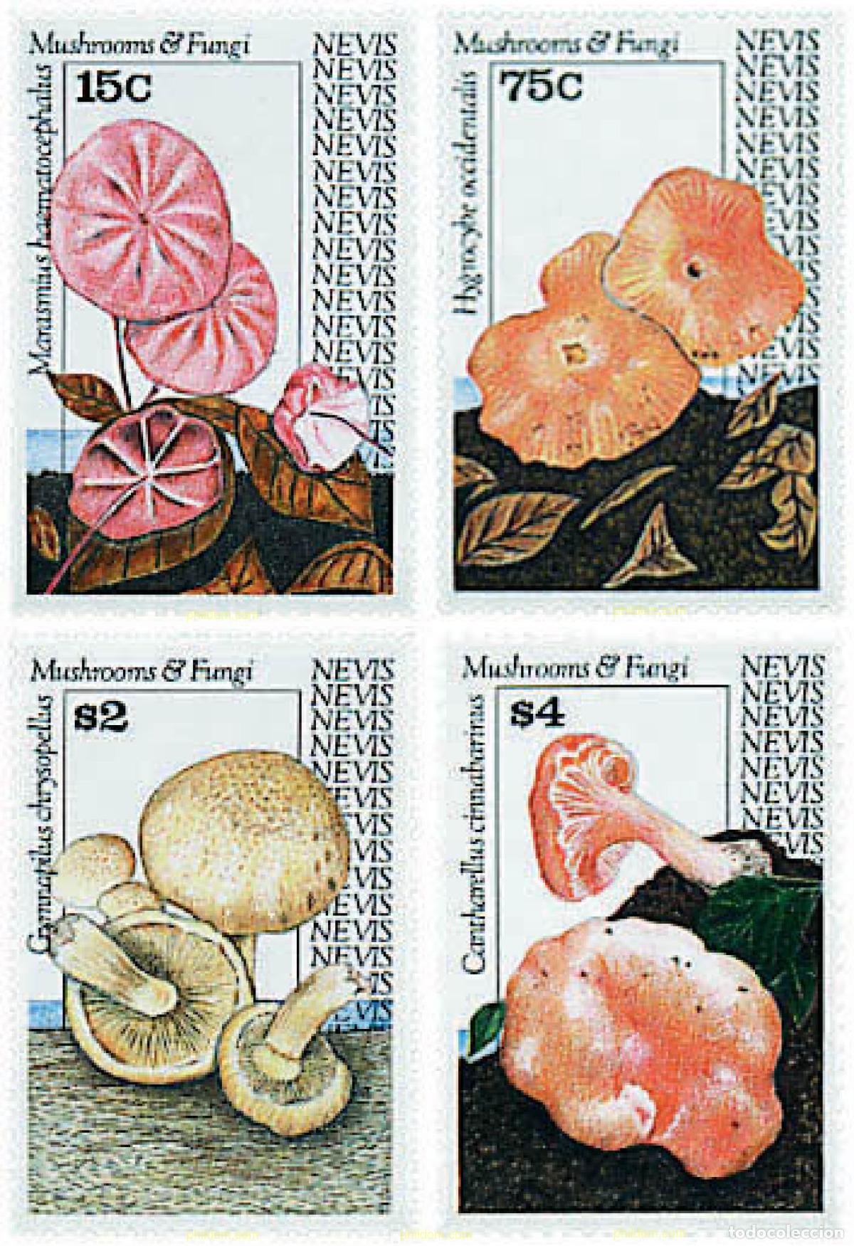 Sellos: 229136 MNH NEVIS 1991 SETAS
