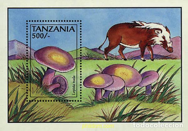 Sellos: 365278 MNH TANZANIA 1993 SETAS