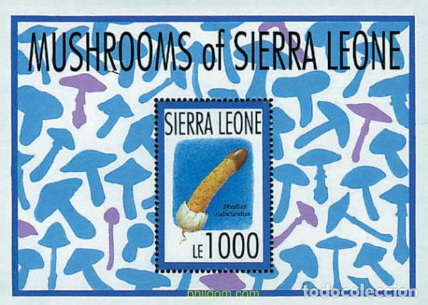 Sellos: 241780 MNH SIERRA LEONA 1993 SETAS