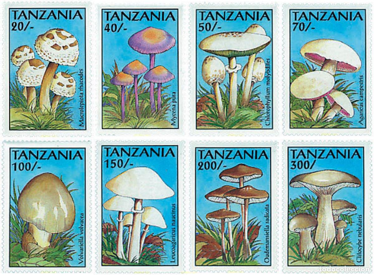 Sellos: 36216 MNH TANZANIA 1993 SETAS
